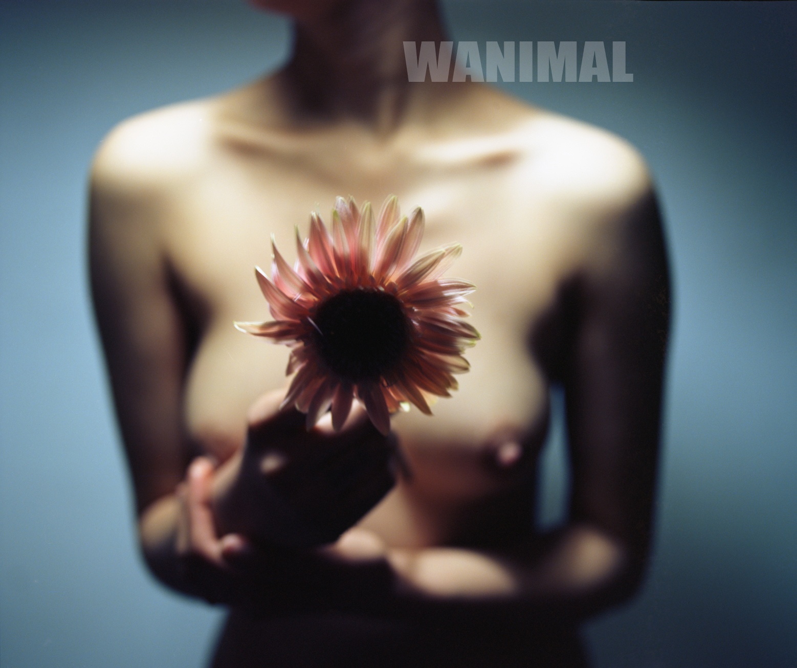 WANIMAL. (42).jpg